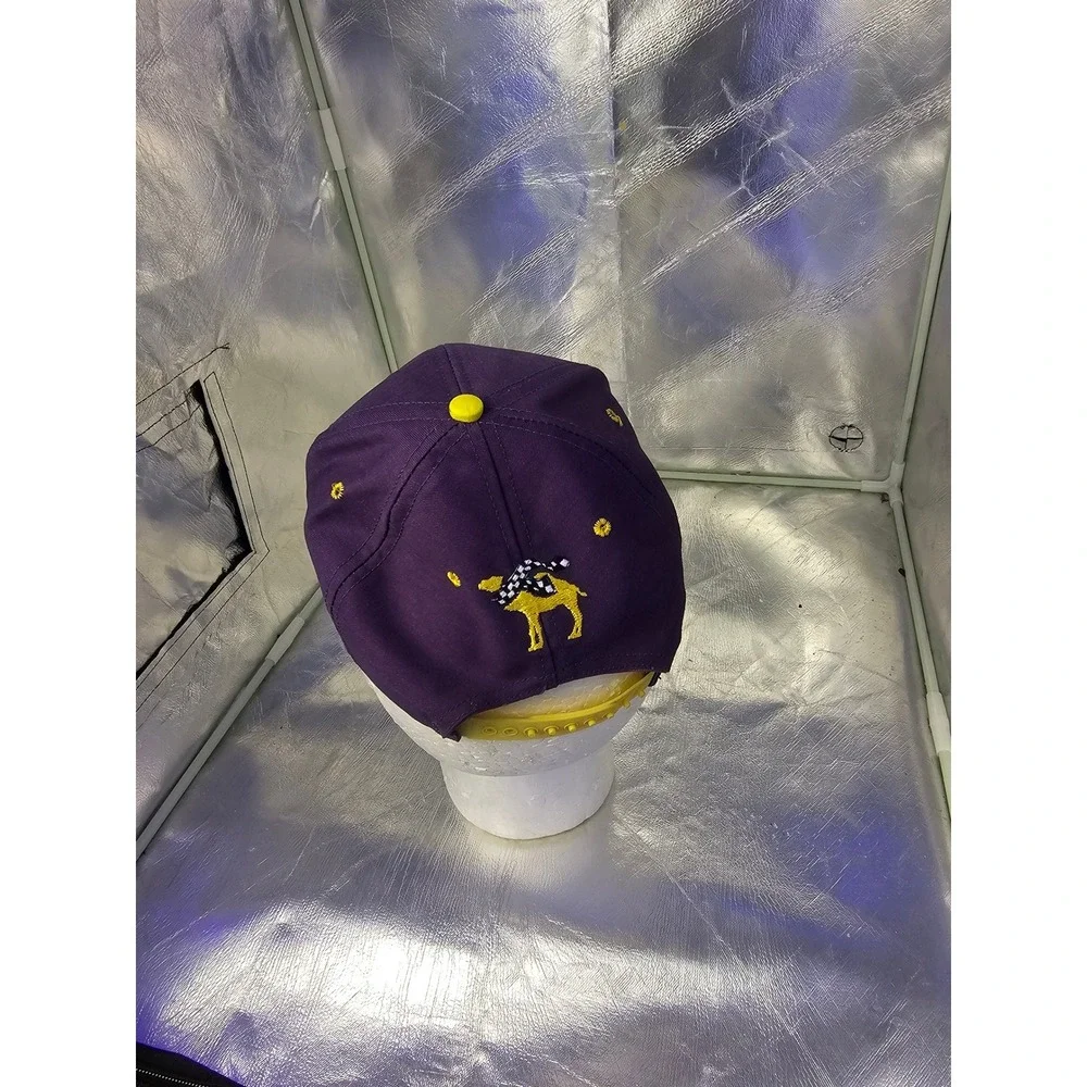 Vintage Smokin Joes Racing Camel Snapback Hat Purple Yellow Made in USA Hat
